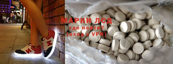 прущие грибы Дмитров