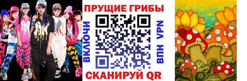 Псилоцибиновые грибы мицелий  хочу   Чердынь 